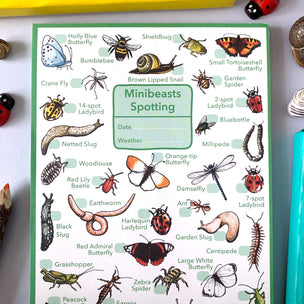 Mini Beasts Wildlife Spotting Notepad | Conscious Craft