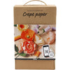 Crepe Paper Flower Starter Kit | Conscious Craft