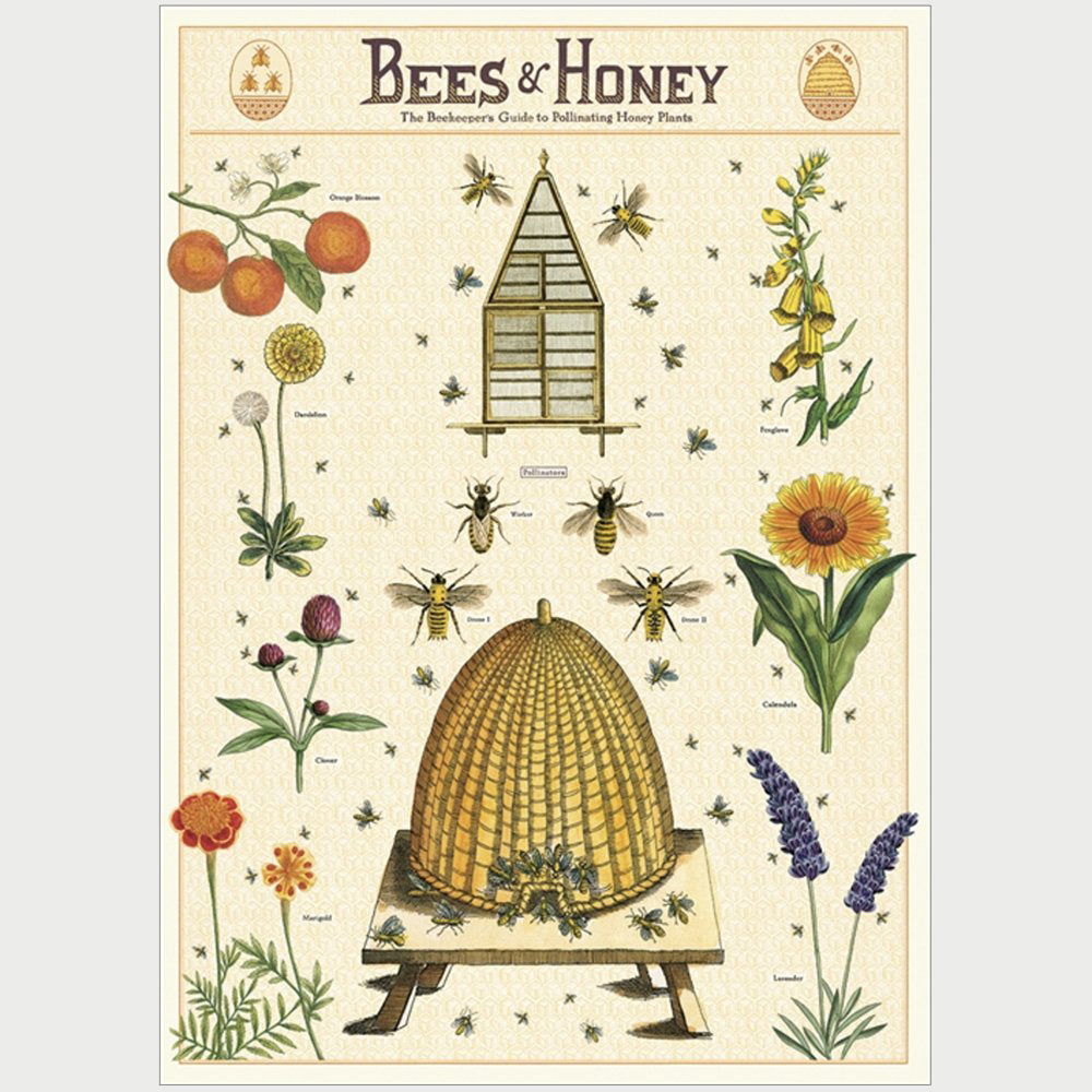 Cavallini Bees  Honey Wrap Conscious Craft