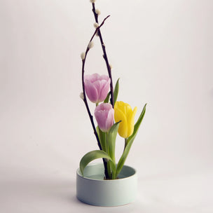 Kikkerland | Make Your Garden | Conscious Craft