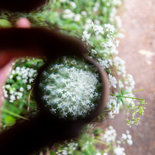 The Den Kit Company | Patterns in Nature Kit | Conscious Craft