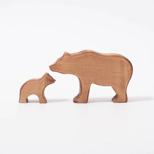 Brown Bear Family