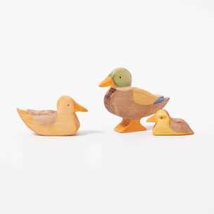 Eric & Albert Duck Family | Conscious Craft