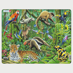 Lush South American Rainforest | Conscious Craft