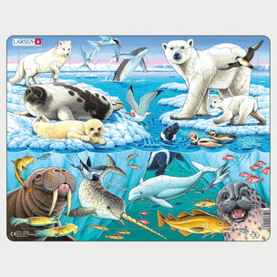 Wildlife on and Around an Arctic Iceberg | Conscious Craft