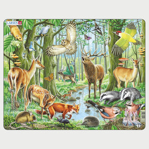 A Thriving European Forest | Conscious Craft