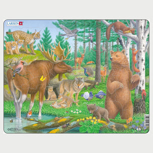 Wildlife of the Northern Boreal Forest | Conscious Craft