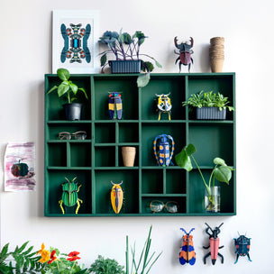 Studio Roof Scarab Beetle | Conscious Craft