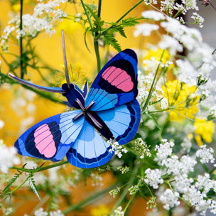 Studio Roof Peacock Butterfly | Conscious Craft