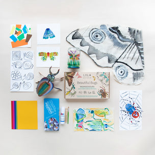 Lola Art Kit | Beautiful Bugs | Conscious Craft