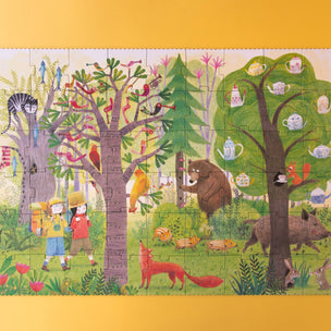 Night & Day in the Forest