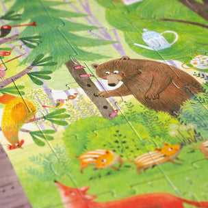 Night & Day in the Forest