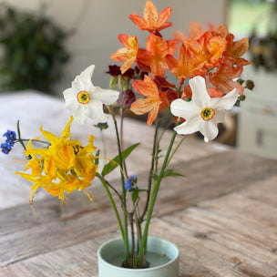 Kikkerland | Make Your Garden | ©Conscious Craft