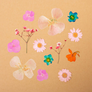 Pressed Flower Set | Orange Turquoise