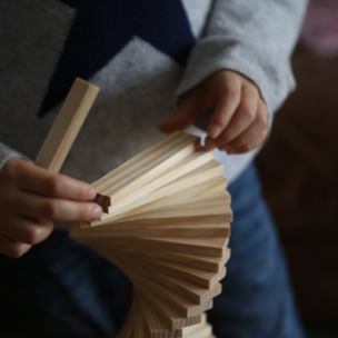 Kapla Construction Planks from Conscious Craft
