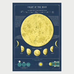 Moon Chart | Poster | Conscious Craft