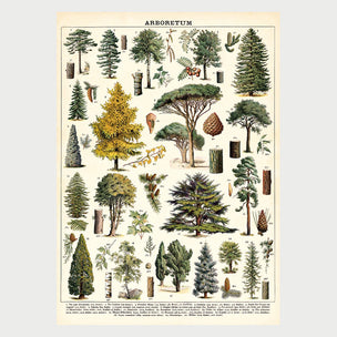 Cavellini Arboretum | Wrap | Conscious Craft