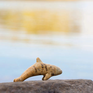 Studiostone Creative Carving Kit | Turtle and Orca | Conscious Craft