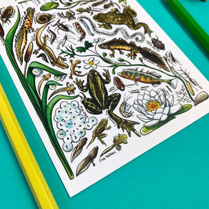 Alexia Claire Ponds of Britain | Postcard | Conscious Craft