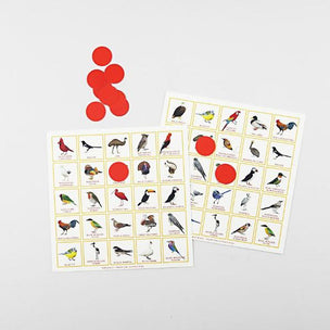 Bird Bingo | Board Game | Conscious Craft