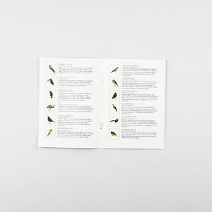 Bird Bingo | Board Game | Conscious Craft