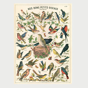 Bird Chart | Wrap | Conscious Craft
