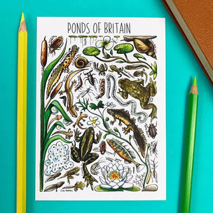 Alexia Claire Ponds of Britain | Postcard | Conscious Craft