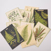 Cavallini Ferns Postcards | Conscious Craft