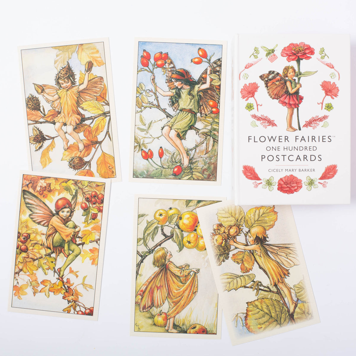 Flower Fairies 100 Postcards | Cicely Mary Barker – Conscious Craft