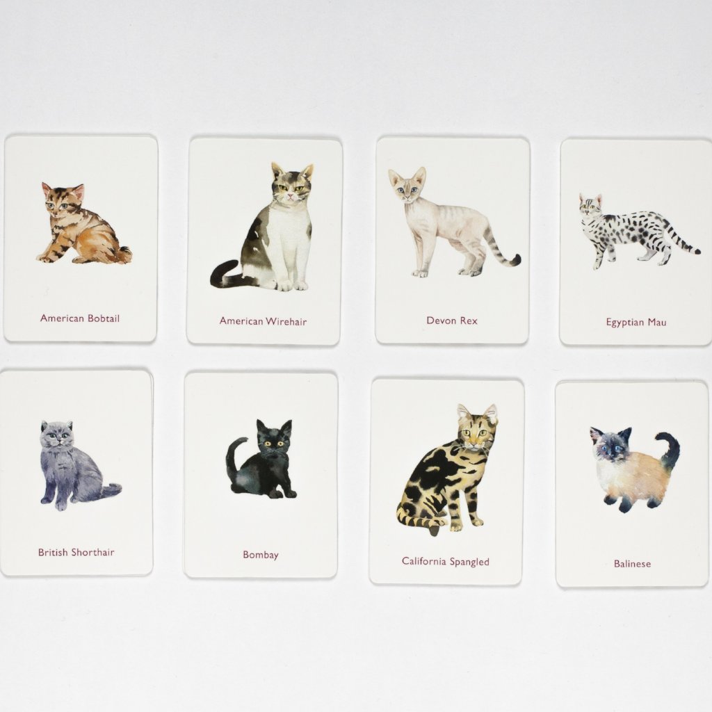 Cats and Kittens | Memory Game | Conscious Craft