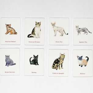 Cat and Kittens Memory Game | Conscious Craft