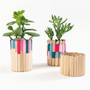 Wooden Craft Kit Collection | Conscious Craft
