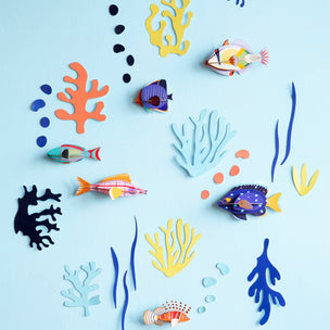 Studio Roof Fish Hobbyist | Conscious Craft