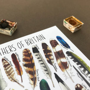 Alexia Claire | Feathers of Britain | Postcard | Conscious Craft
