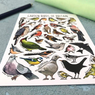 Alexia Claire | Garden Birds of Britain | Postcard | Conscious Craft