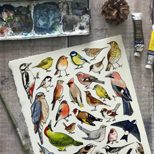 Alexia Claire | Garden Birds of Britain | Postcard | Conscious Craft