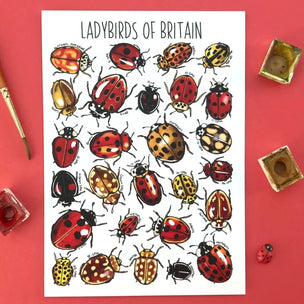 Alexia Claire | Ladybirds of Britain | Postcard | Conscious Craft
