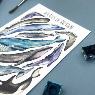 Whales of Britain Postcard | Conscious Craft