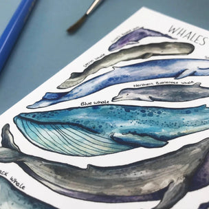 Whales of Britain Postcard | Conscious Craft