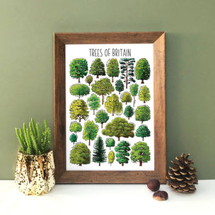 Alexia Claire | Trees of Britain | Postcard | Conscious Craft