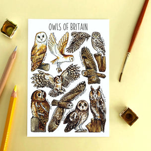 Alexia Claire | Owls of Britain | Postcard | Conscious Craft