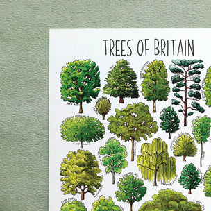 Alexia Claire | Trees of Britain | Postcard | Conscious Craft