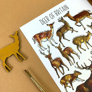 Alexia Claire | Deers of Britain | Postcard | Conscious Craft