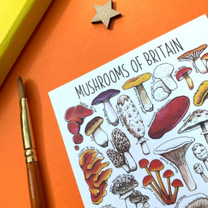 Alexia Claire | Mushrooms of Britain | Postcard | Conscious Craft