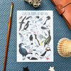 Alexia Claire | Coastal Birds of Britain | Postcard | Conscious Craft