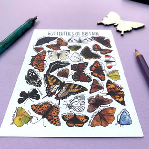 Butterflies of Britain | Postcard | Conscious Craft