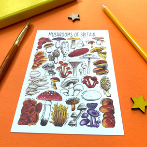 Alexia Claire | Mushrooms of Britain | Postcard | Conscious Craft