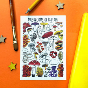 Alexia Claire | Mushrooms of Britain | Postcard | Conscious Craft 