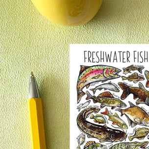 Alexia Claire | Freshwater Fish of Britain | Postcard | Conscious Craft