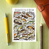Alexia Claire | Freshwater Fish of Britain | Postcard | Conscious Craft